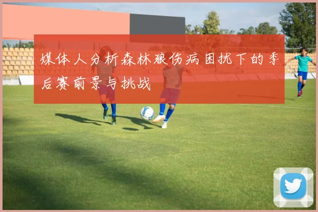媒体人分析森林狼伤病困扰下的季后赛前景与挑战