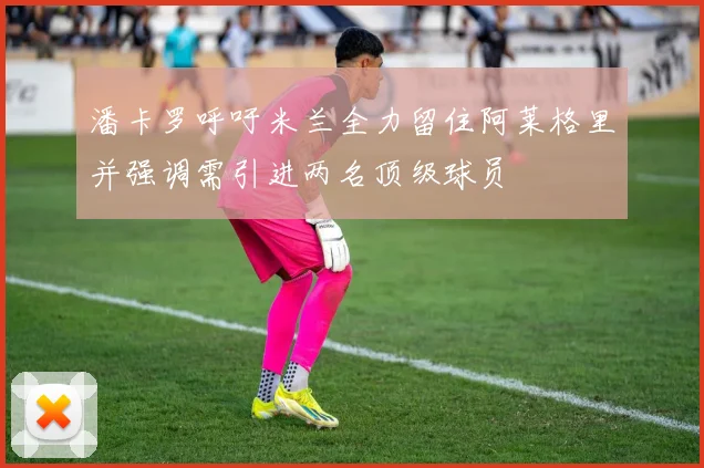 潘卡罗呼吁米兰全力留住阿莱格里并强调需引进两名顶级球员